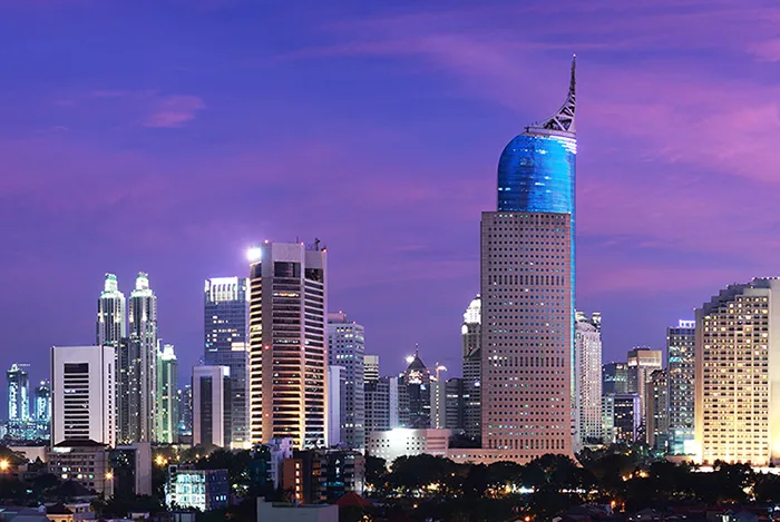 Indonesia virtual numbers