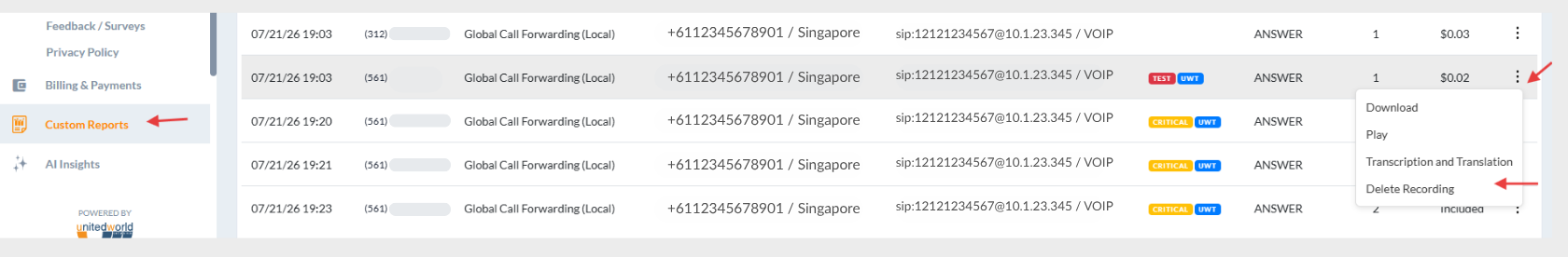 call-recording-custom-reports-delete